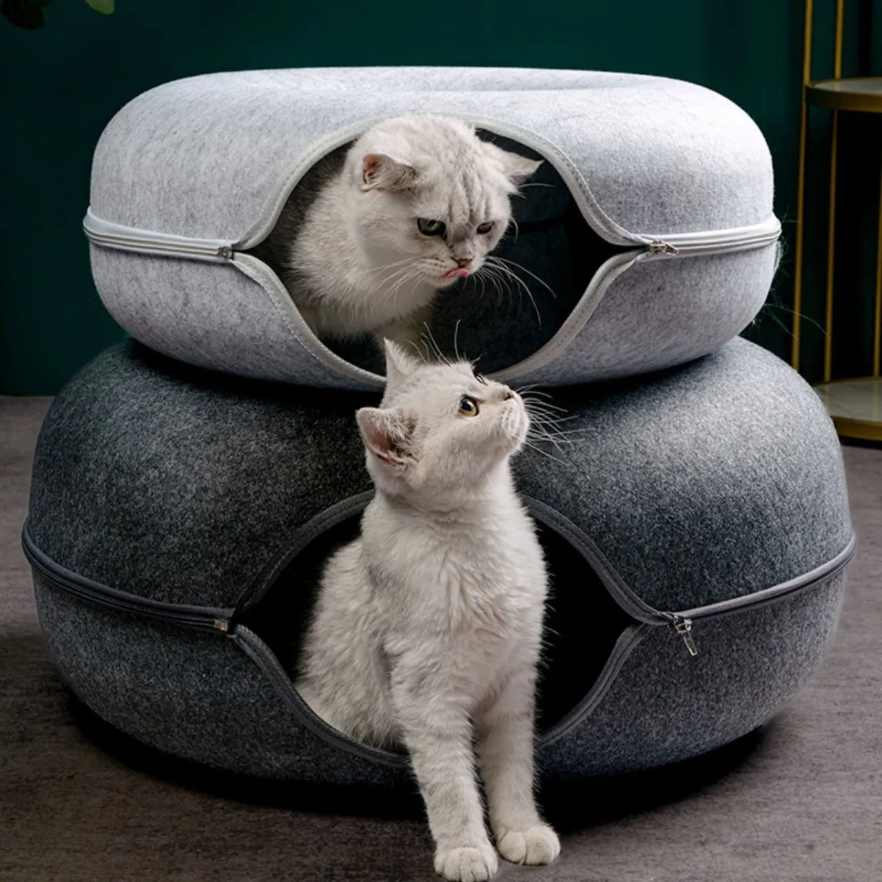 Cozy Cat Tunnel House