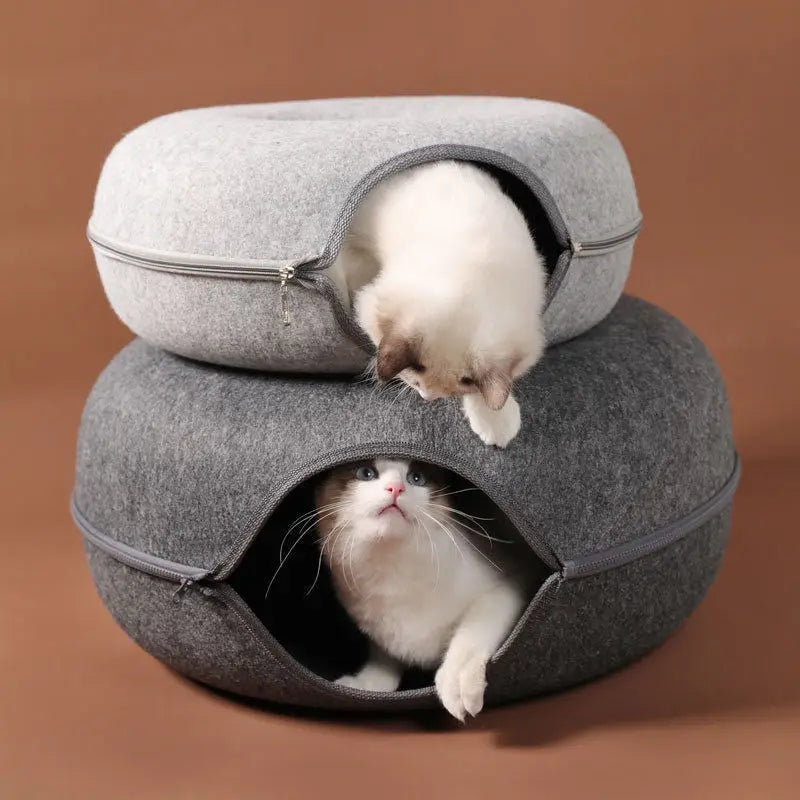 Cozy Cat Tunnel House