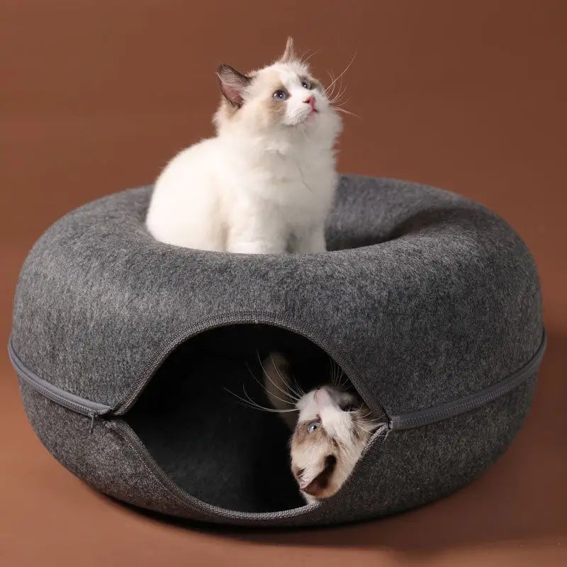 Cozy Cat Tunnel House